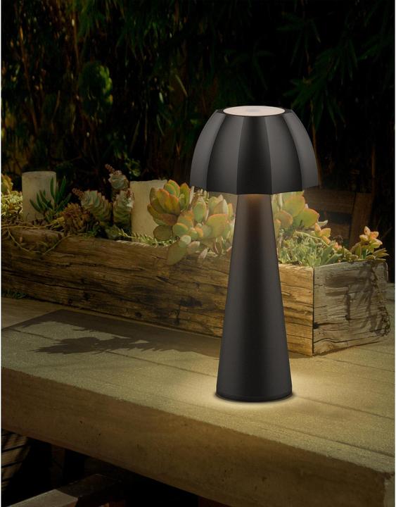 Image du produit Schönenberger Lampe de bureau rechargeable USB-C SULIS Noir (220 lm)