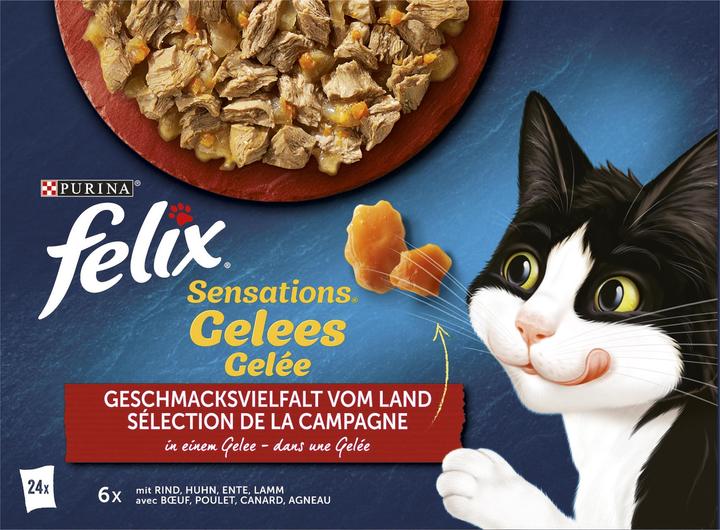 Actual product image Felix Taste diversity from the countryside (Adult, 24 pcs., 2040 g)