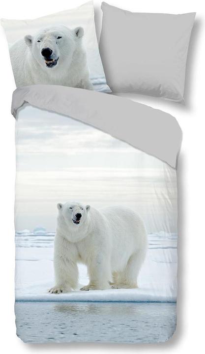 Image du produit Traumschlaf ours polaire (Set de linge de lit, 135 x 200 cm, 80 x 80 cm)