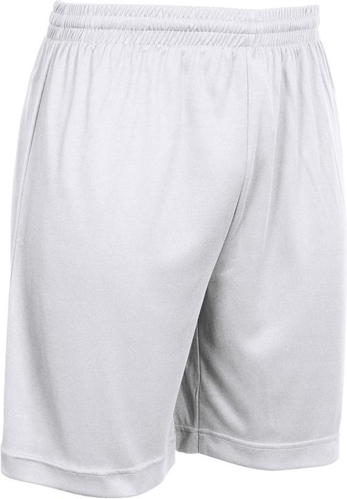 Actual product image Stanno Field Shorts (140)