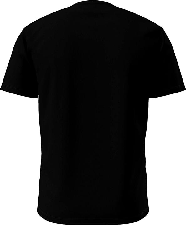 Actual product image Napapijri T-Shirt SALIS Kurzarmshirt (L)