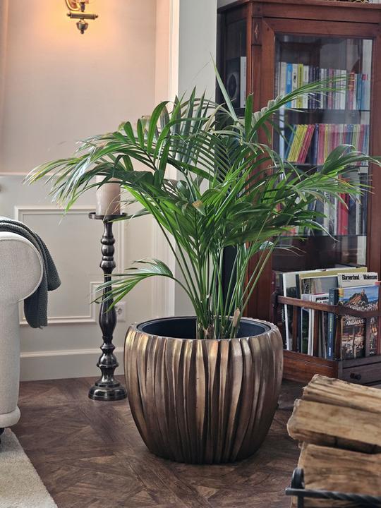 Actual product image Jaco Lite Glow Laudo (38 x 32 cm)