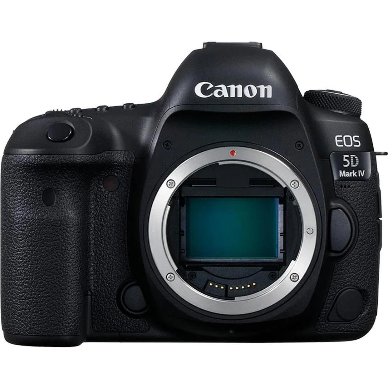 Canon EOS 5D Mark IV+Canon EF75-300㎜ II 0197ee89-91eb-7170-bb29-