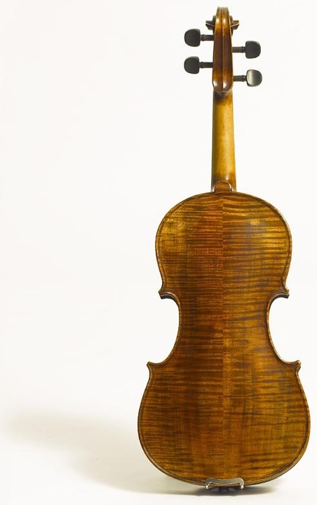Actual product image Stentor Elysia (Fiddle, 4/4)