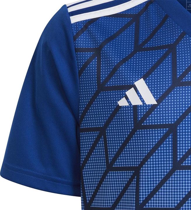 Produktbild adidas Team Icon 23 Trikot (116)