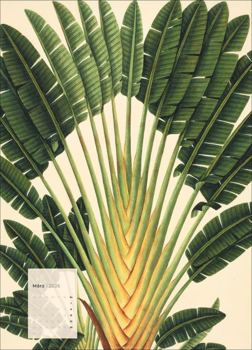 Produktbild Botanicals Kalender 2026 (49 x 68 cm)