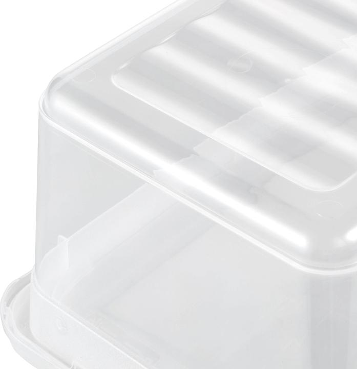 Actual product image keeeper Bea (19.5 x 33 x 12 cm, 5.60 l)