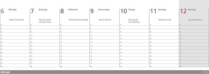 Immagine prodotto L'agenda settimanale del gatto letterario 2025 (1 giorno / 1 pagina)