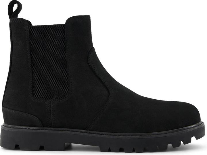 Toms 's Griffin (39)