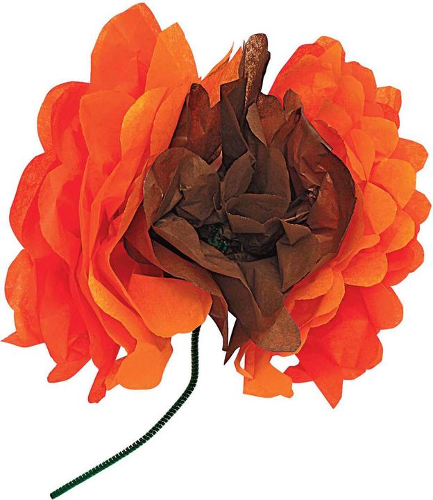 Actual product image Colorations Färbungen – Krepppapier – 50 Blatt (50x)
