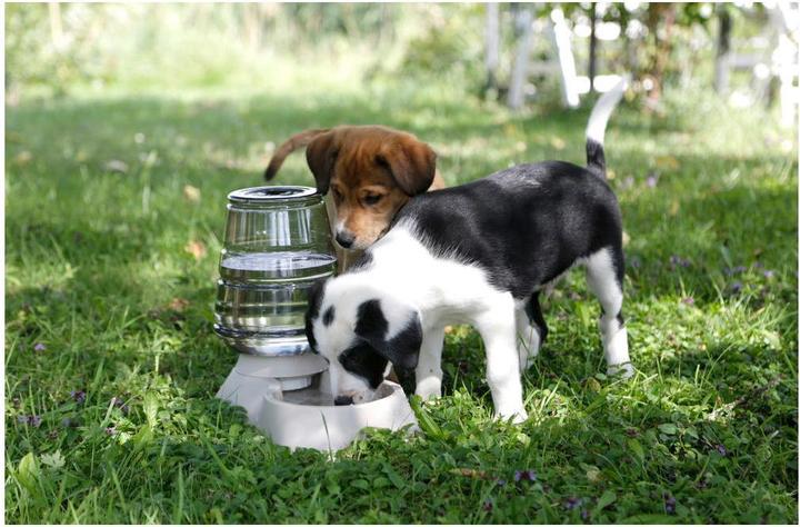 Immagine prodotto Kerbl Distributore d'acqua Nuvola (1100 cl)