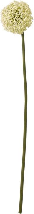 Actual product image Hill Interiors Allium Stem Artificial Plant