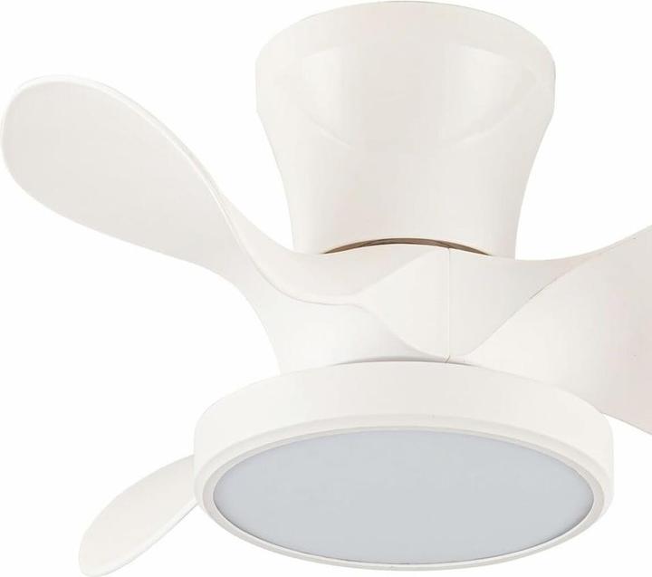 Produktbild Cristal Record Deckenventilator MOLL RETRAC Durchsichtig 20 W