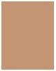 Actual product image Bourjois Healthy Mix Clean & Vegan Radiant Foundation (55N Deep Beige)