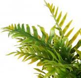 Image du produit Ibergarden grand pot en ciment palmier vert