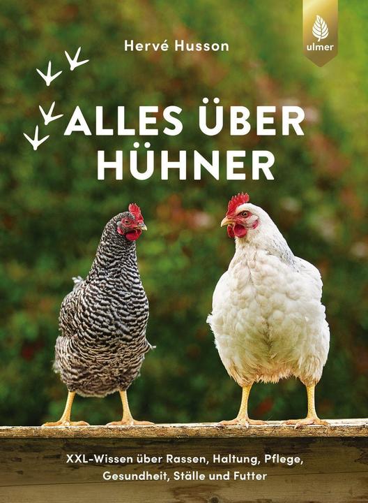 Alles über Hühner (Allemand, Hervé Husson., 2022)