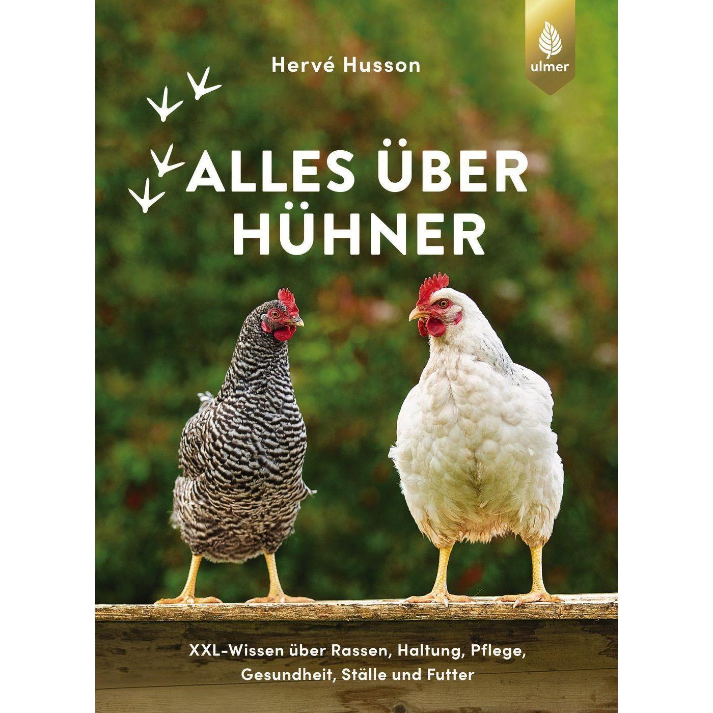 Alles über Hühner, Sachbücher von Hervé Husson
