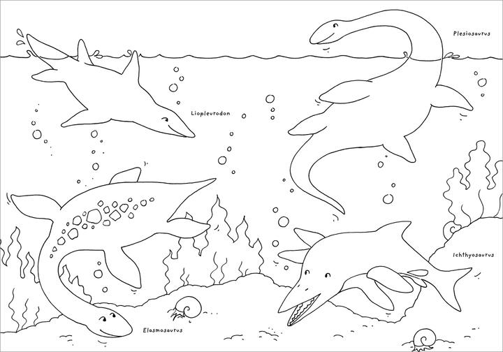 Image du produit Tessloff Mon plus beau livre de coloriage. Dinosaures
