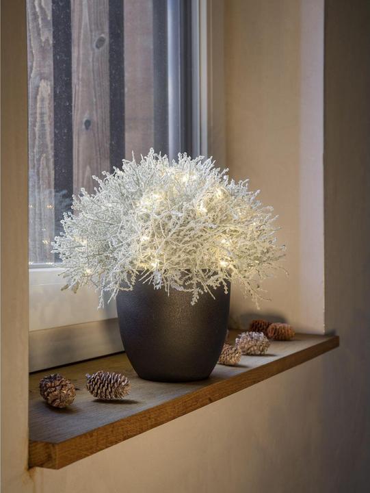 Actual product image STT Calo 35