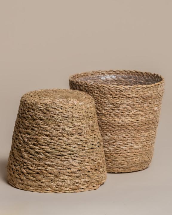 Actual product image feey Kesat (16 cm)