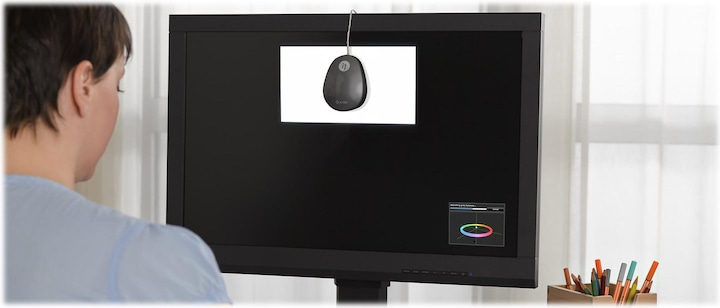 Immagine prodotto Eizo ColorEdge CS2731 (2560 x 1440 pixel, 27")