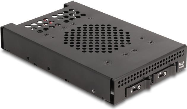 Actual product image Delock 3.5? Removable frame for 2 x M.2 NVMe SSD with Slim SAS
