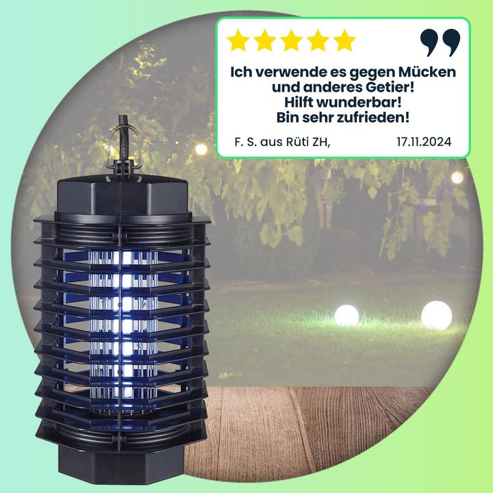 Actual product image Colibri Insect lamp