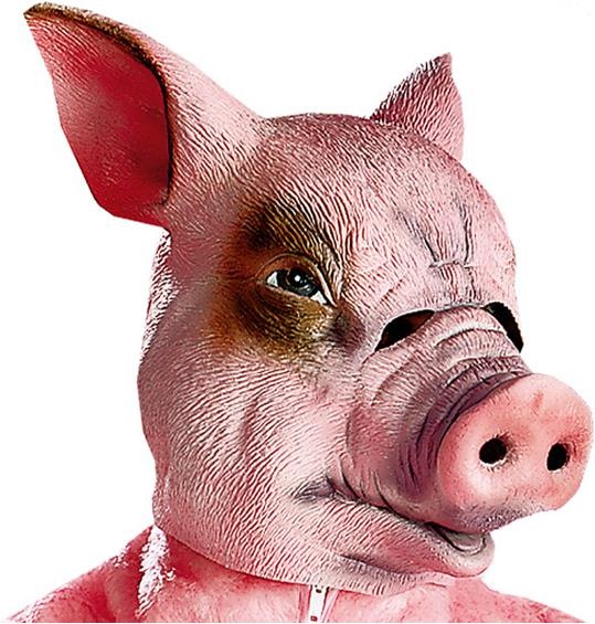 Festartikel Müller Schwein