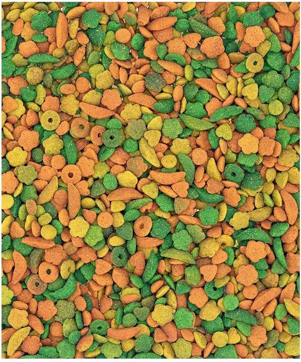 Actual product image Versele Laga NutriBird P15 Tropical, entretien pour perroquets, 1 kg (1 x, 1 kg)