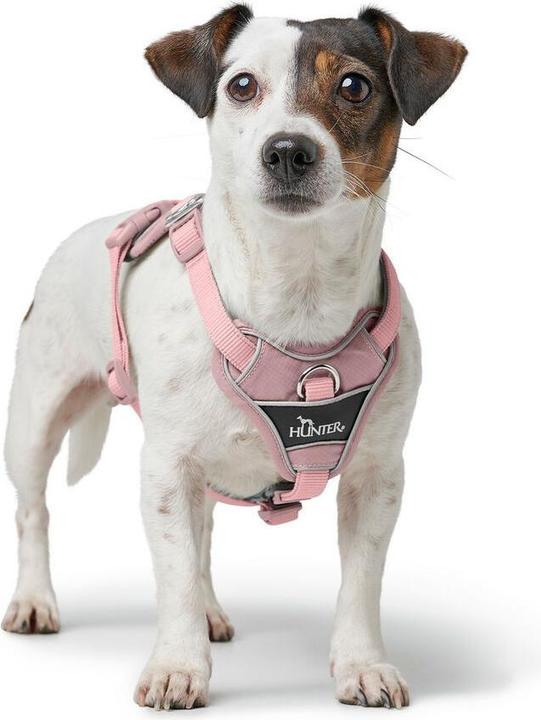 Image du produit Hunter Divo Up (S, Chien, Général)