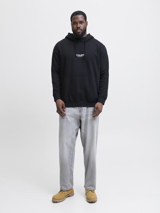 Produktbild Jack & Jones Jjesoho Sweat Hood Noos Pls