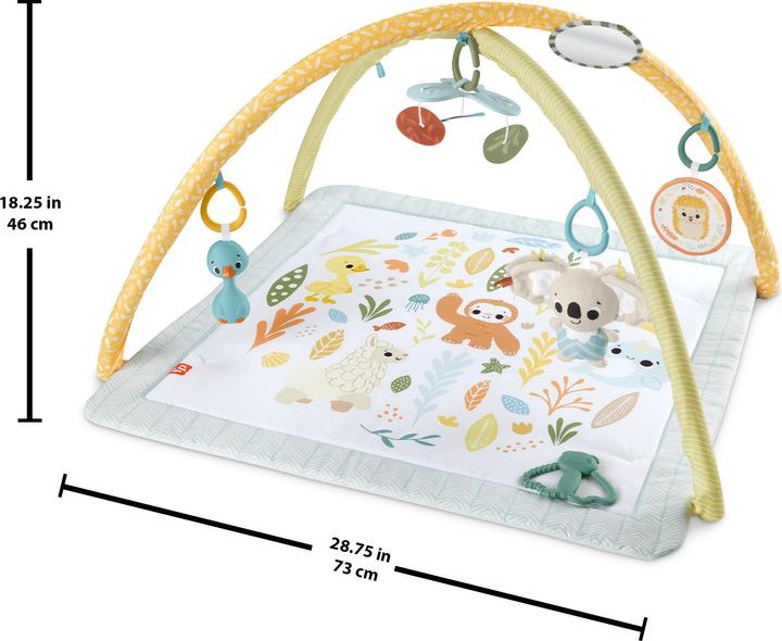 Actual product image Fisher-Price Simply Senses