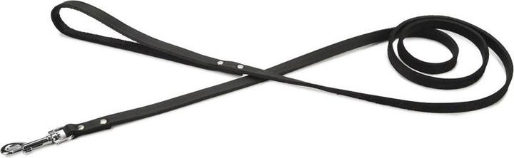Actual product image Beeztees BZ LEATHER LEASH BLACK 165X12 (Dog, Dog sport)