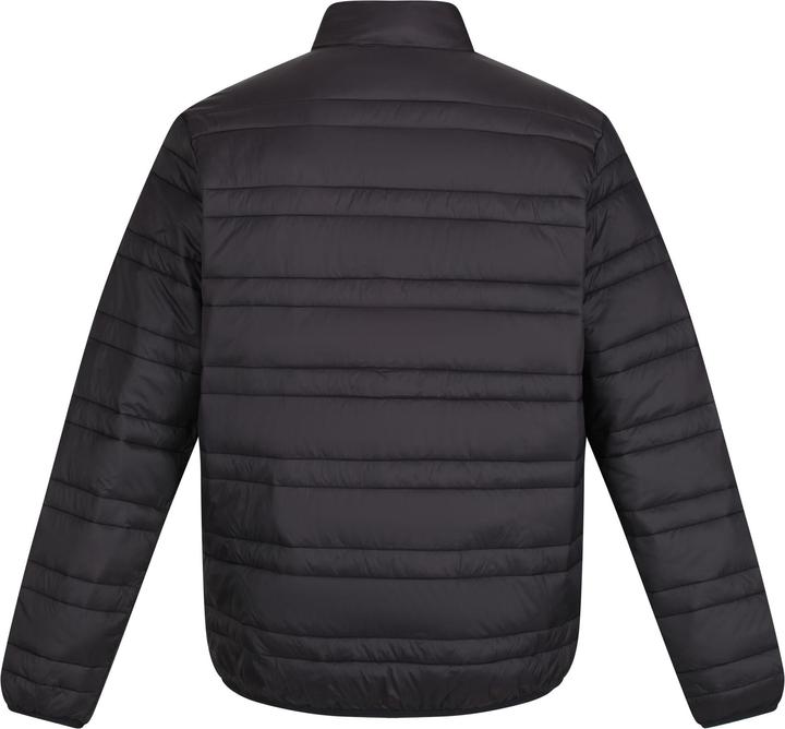 Produktbild Regatta Firedown Steppjacke (M)
