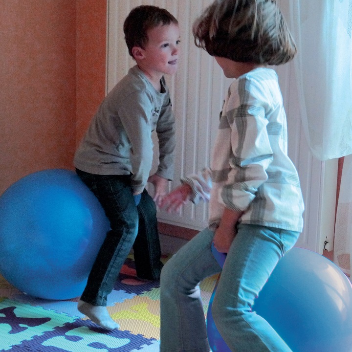 Actual product image LUDI Balloon Sauteur 45 cm