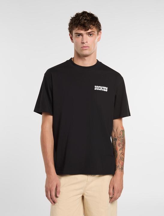 Produktbild Dickies Plain City Ss Tee (S)