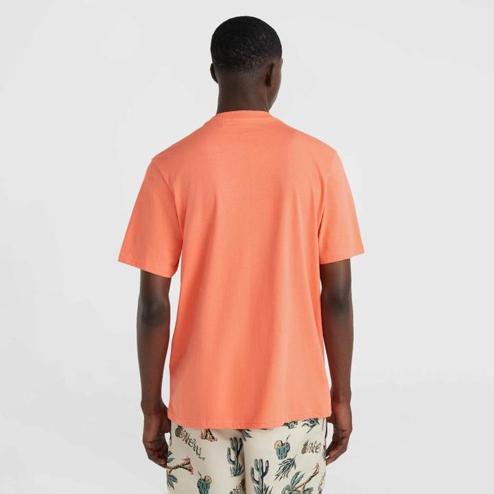 Produktbild O'Neill Mix & Match Wave T-Shirt (M)