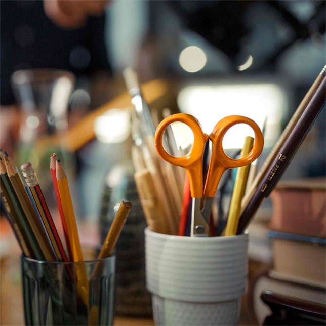Image du produit Fiskars Maison et bureau (17 cm)