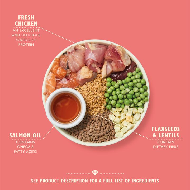 Produktbild Lily's Kitchen Puppy (Junior, 1 Stk., 2500 g)