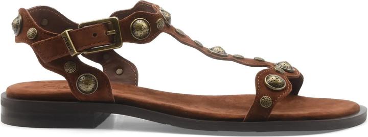 Actual product image Ash Phanny (39)