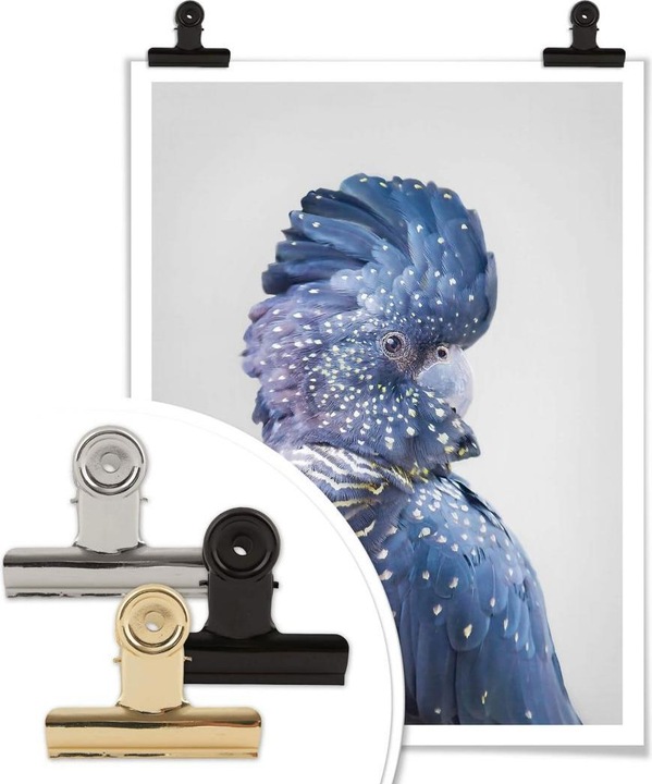 Image du produit Trenddeko Cacatoès bleu (80 x 100 cm)