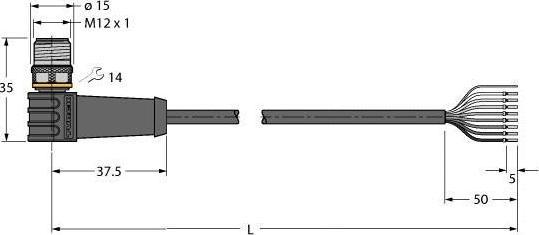 Actual product image Turck Connection cable (5 m)
