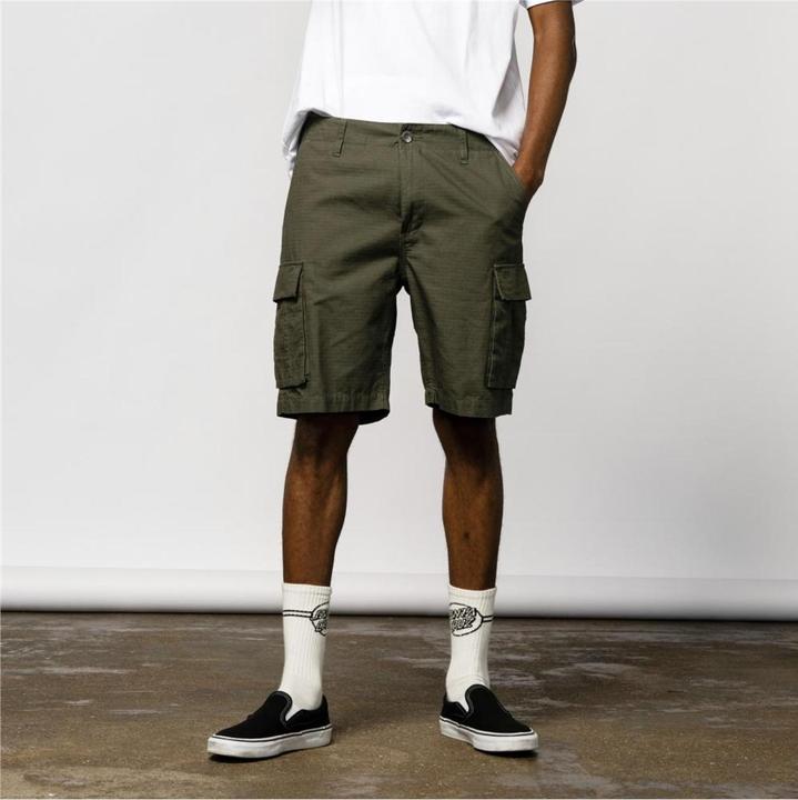 Actual product image Santa Cruz Gauntlet shorts (28)