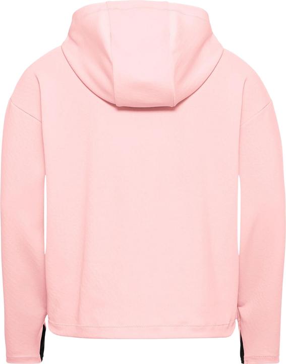 Image du produit Jack Wolfskin Astrotrail Hoody W (XL)