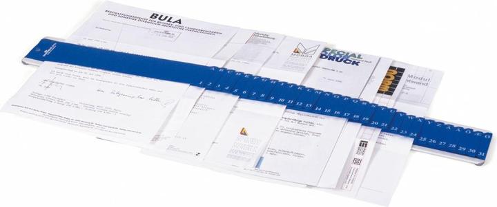 Produktbild Erola DURABLE - Crocodile - Streifen-Vorordner (A4, 1 x)