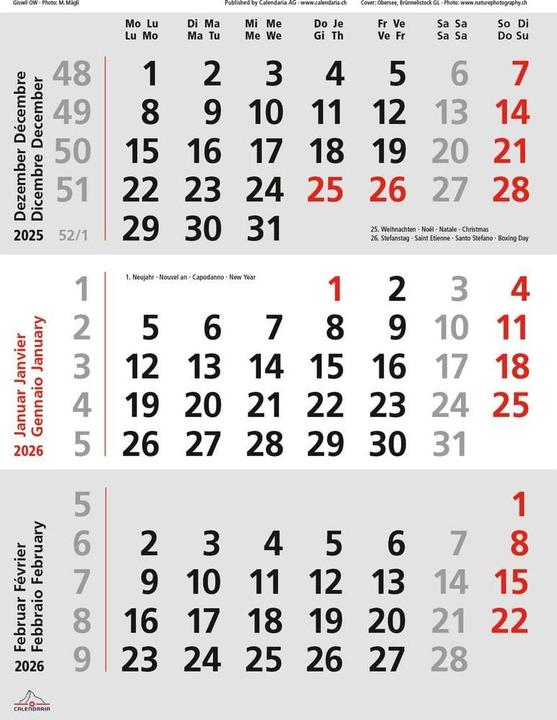 Immagine prodotto Swiss Planer 2026