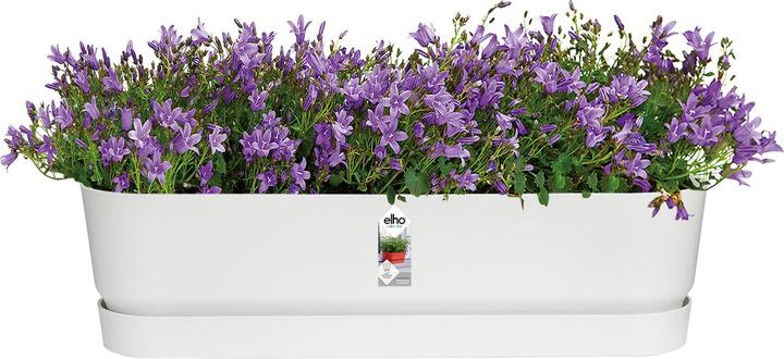 Image du produit Elho Jardinière Greenville Longue (700 cm)