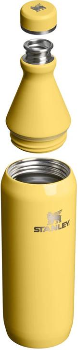 Image du produit Stanley 1913 All Day Slim Flasche (0.60 l)