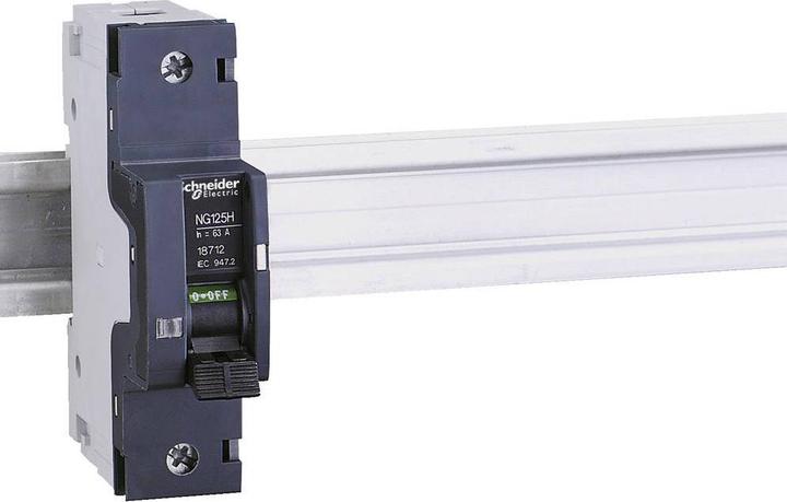 Actual product image Schneider Circuit-breaker NG125H, 1-pole, 80A, C characteristic 18713