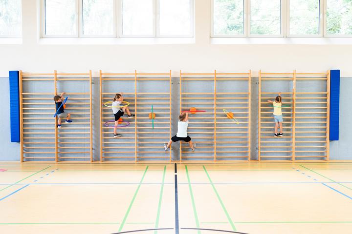 Image du produit Spordas Porte-pneus pour espaliers WalliBari